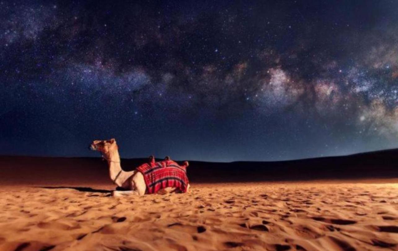 Bedouin Bunch Camp Hotel Wadi Rum Bagian luar foto