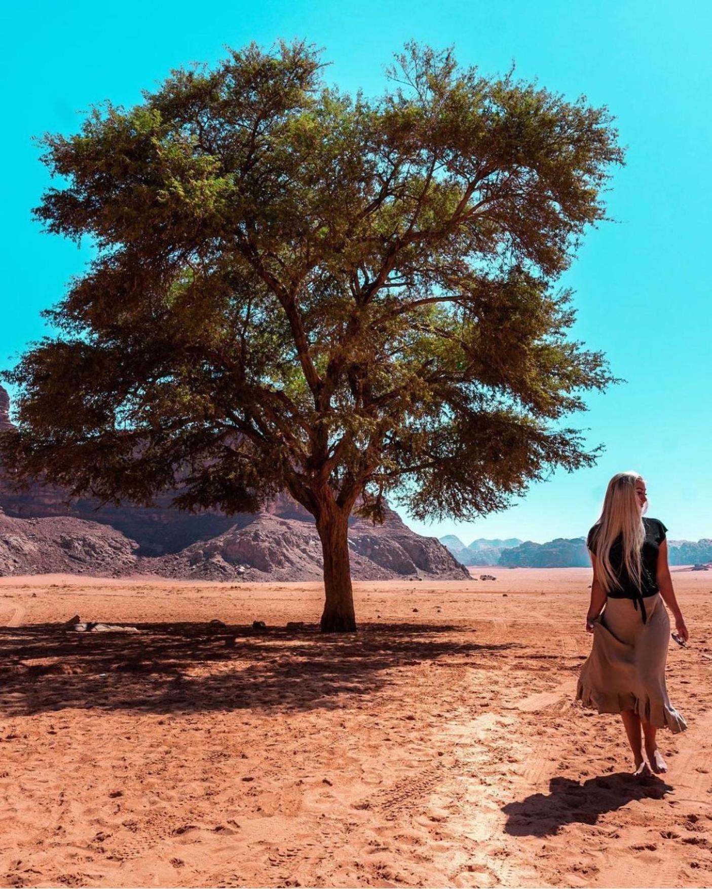Bedouin Bunch Camp Hotel Wadi Rum Bagian luar foto
